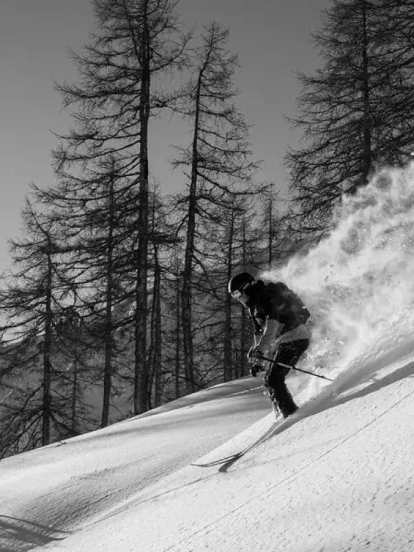Skier carving through fresh powder snow between tall pine trees on mountain slope